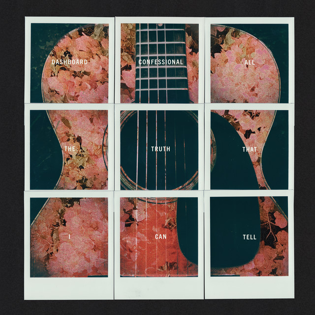 All The Truth That I Can Tell album cover