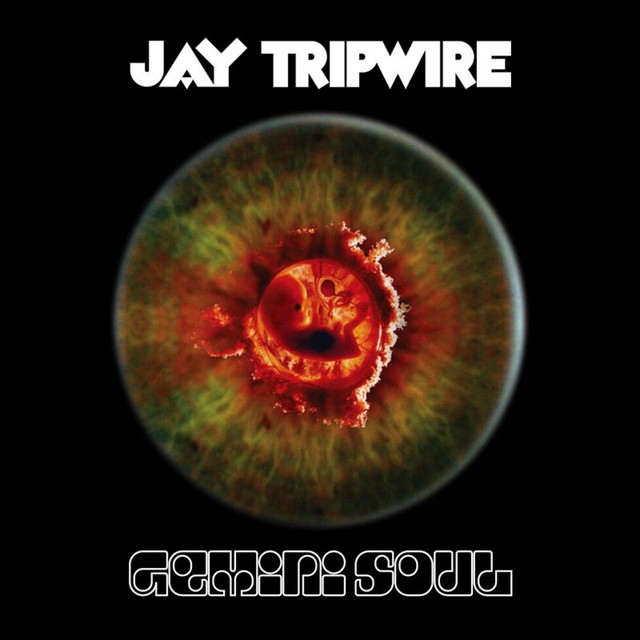 Gemini Soul album cover