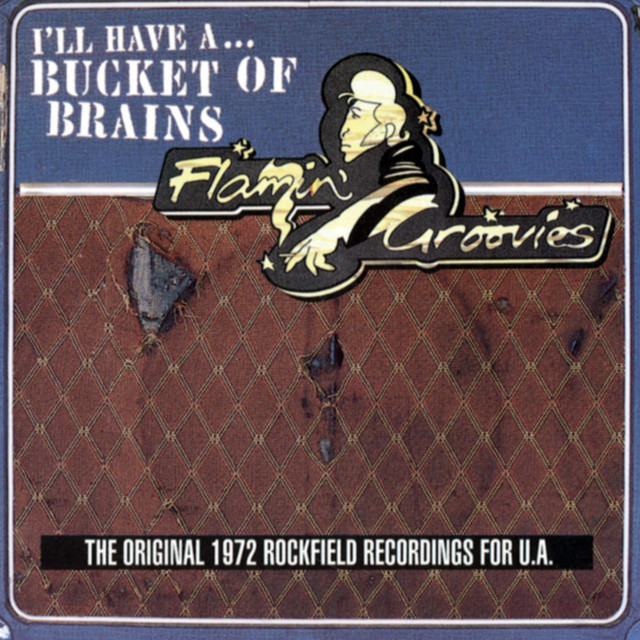 A Bucket Of Brains album cover