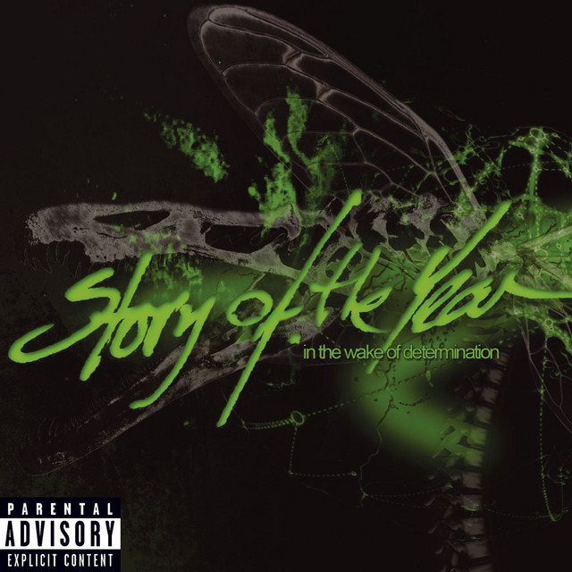 In the Wake of Determination album cover