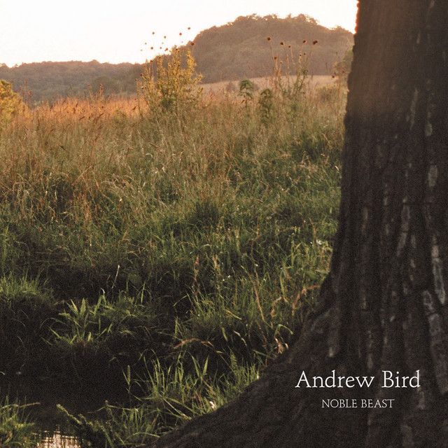 Noble Beast album cover