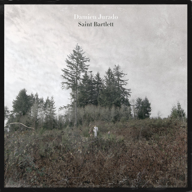 Saint Bartlett album cover