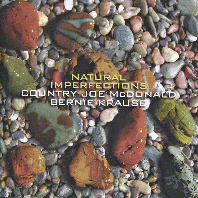 Natural Imperfections album cover