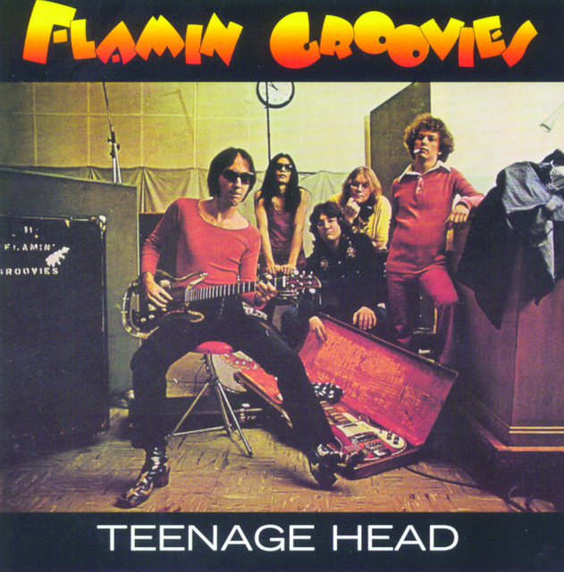 Teenage Head album cover