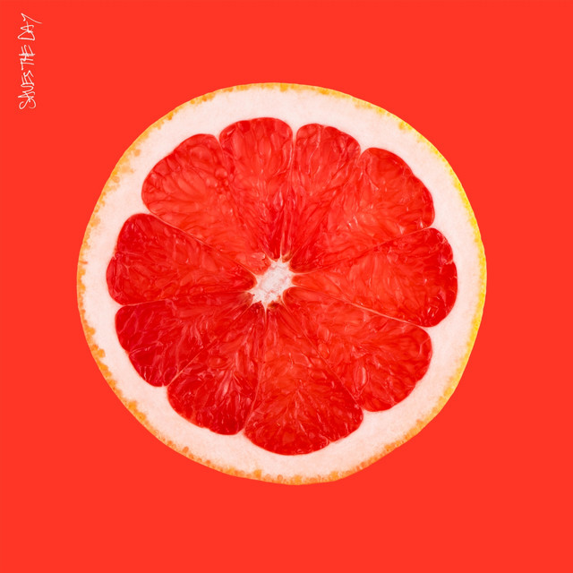 Saves The Day album cover