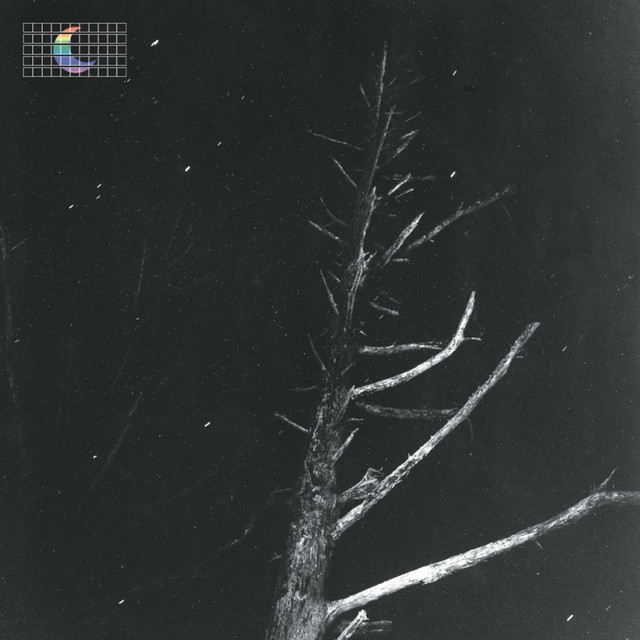 Boss DD-3 Digital Delay as heard on (Colours of the Night) Satellite by Peter Broderick (2015)