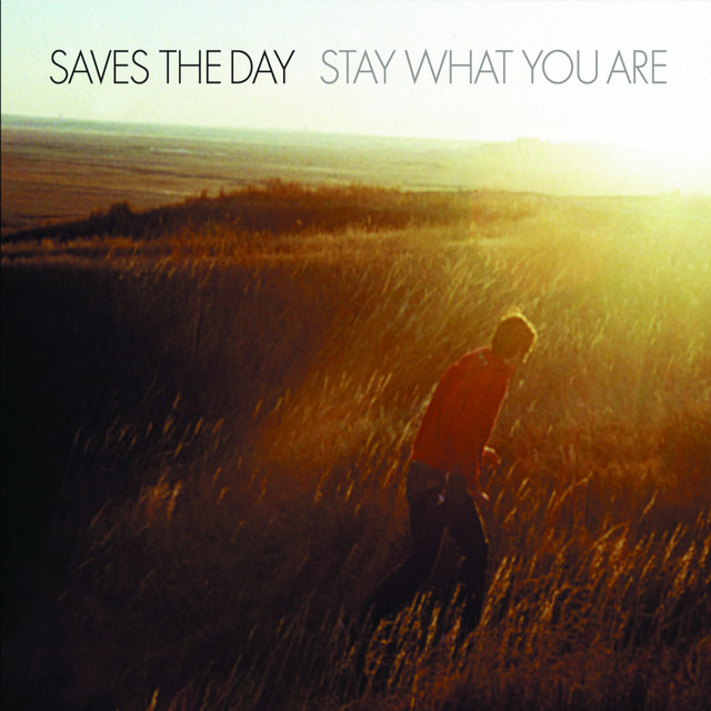 Stay What You Are album cover
