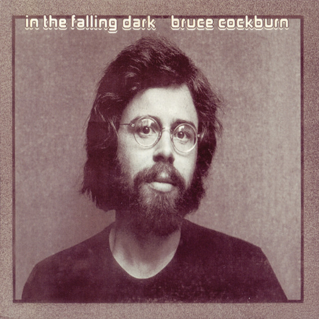 In The Falling Dark album cover