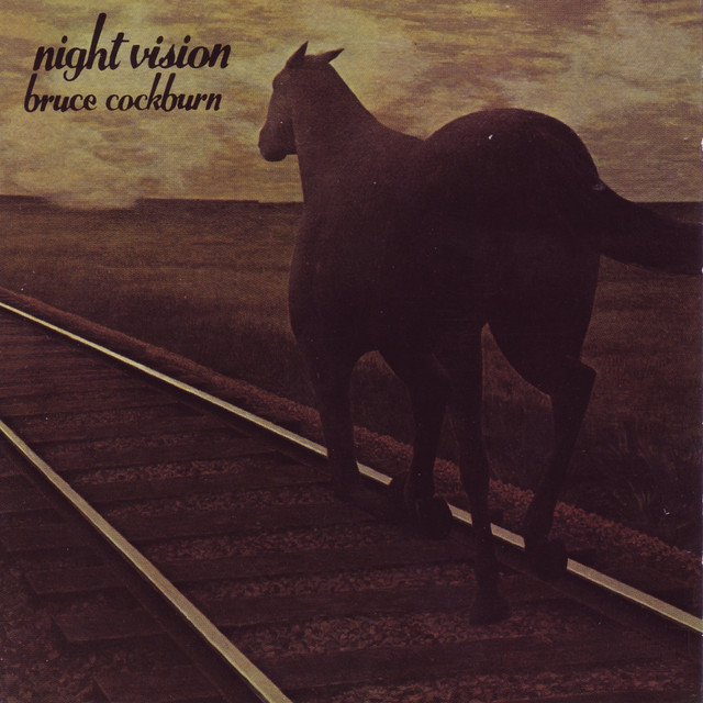 Night Vision album cover