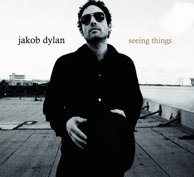 Shure SM7 as heard on Seeing Things by Jakob Dylan (2008)