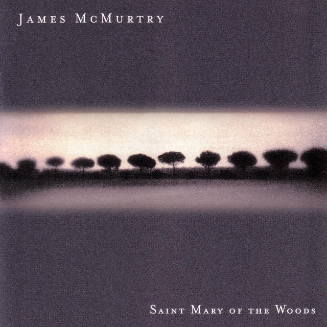 Saint Mary Of The Woods album cover