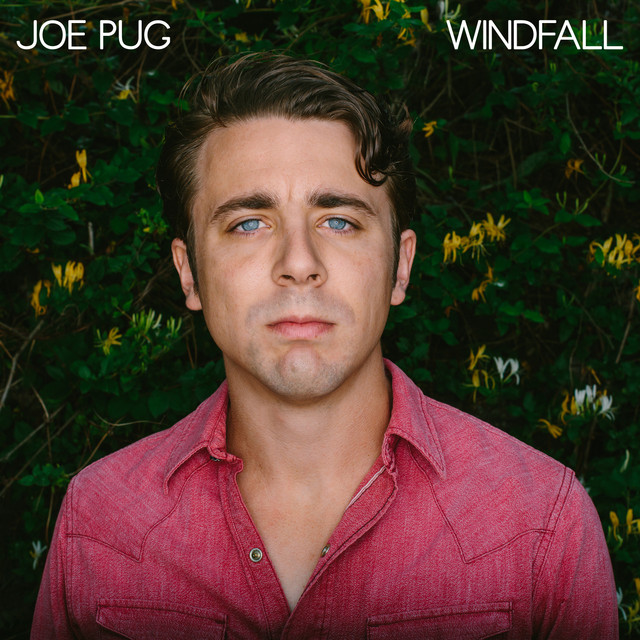 Windfall album cover