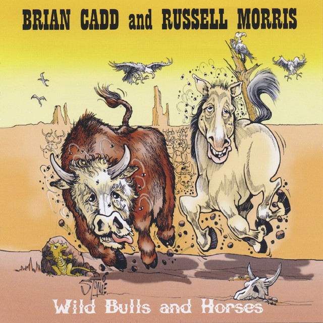 Wild Bulls and Horses album cover