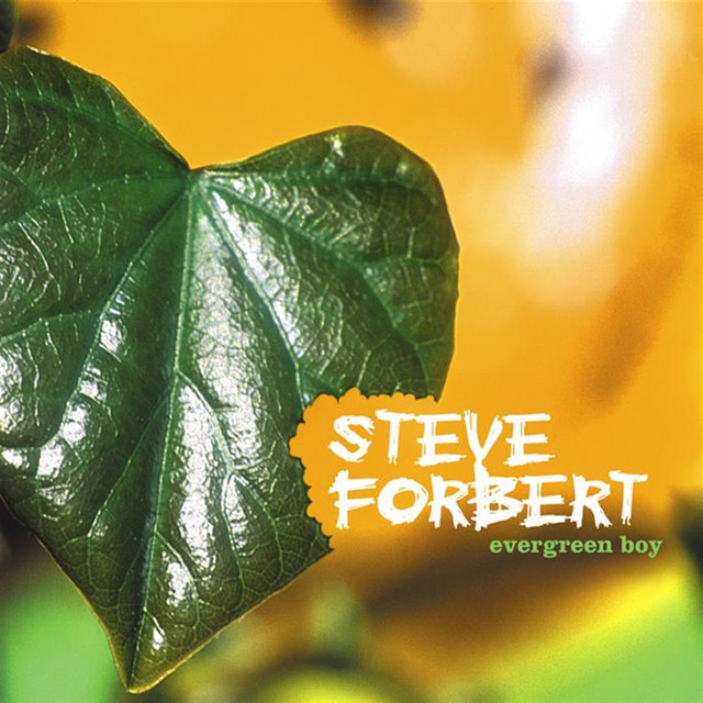 Evergreen Boy album cover