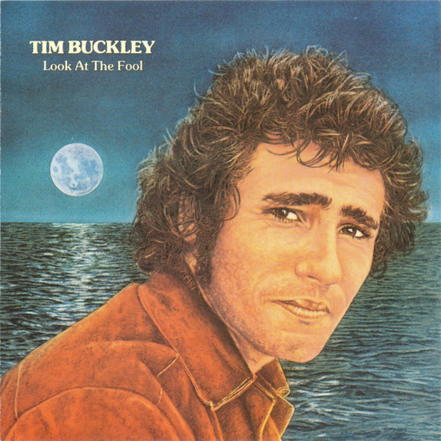 Look at the Fool (Remastered) album cover