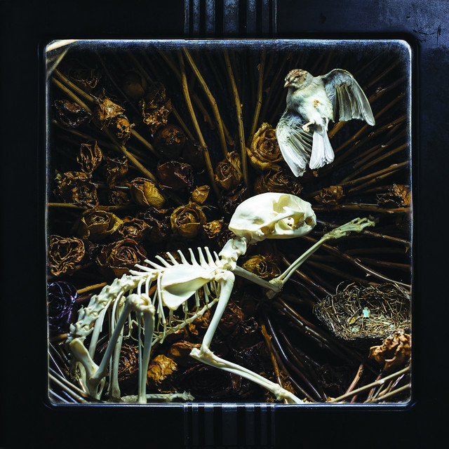 Hymns for the Hopeless (The Early Years 2014) album cover