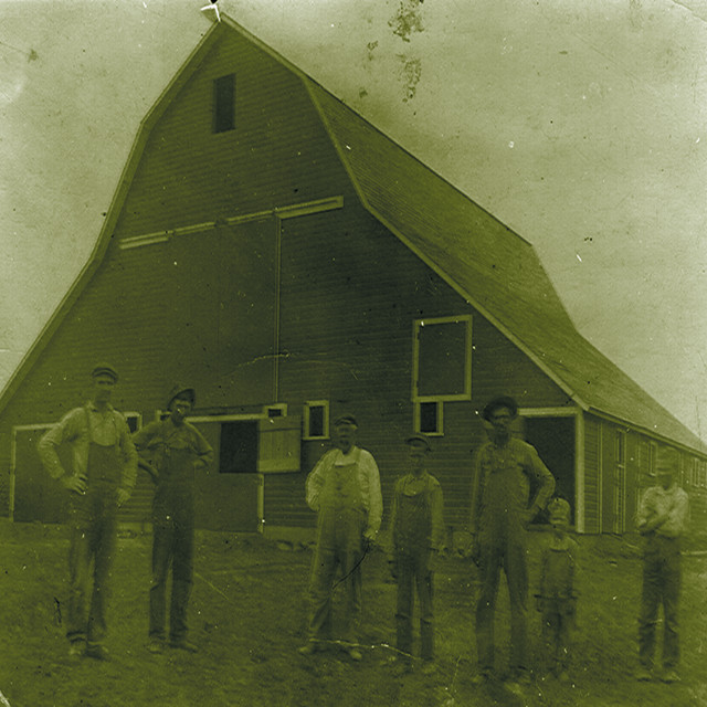 Rooster album cover
