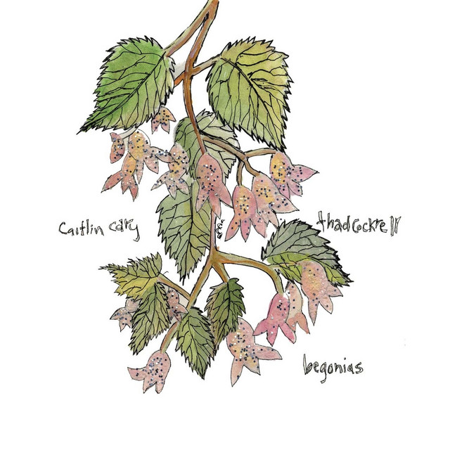 Begonias album cover