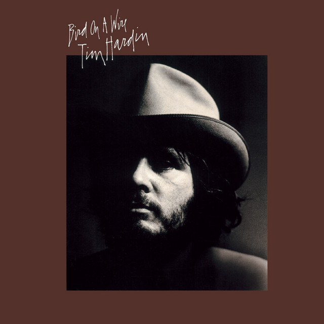 Bird On A Wire album cover