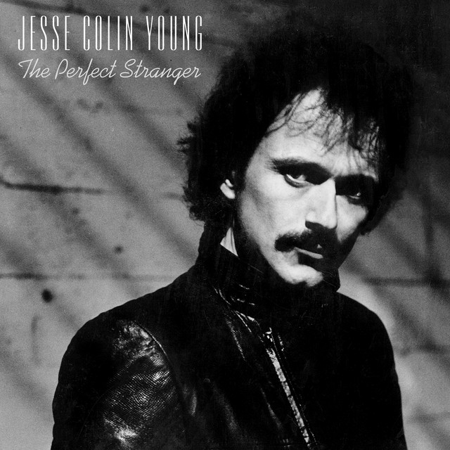 The Perfect Stranger album cover
