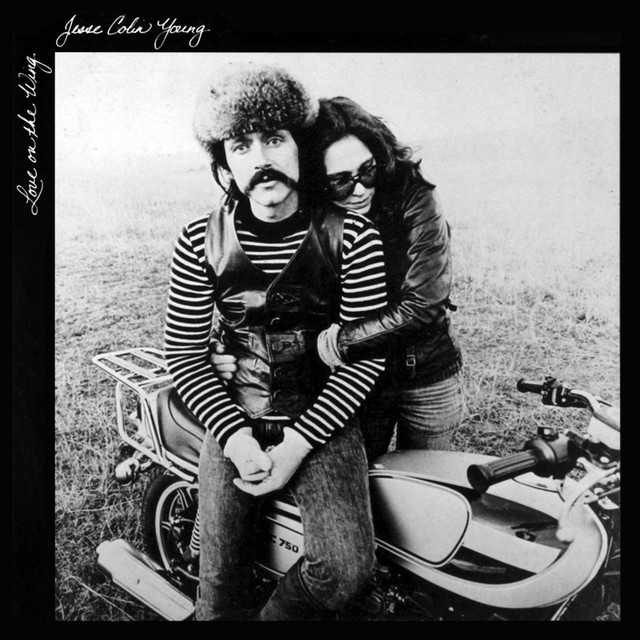Love on the Wing album cover
