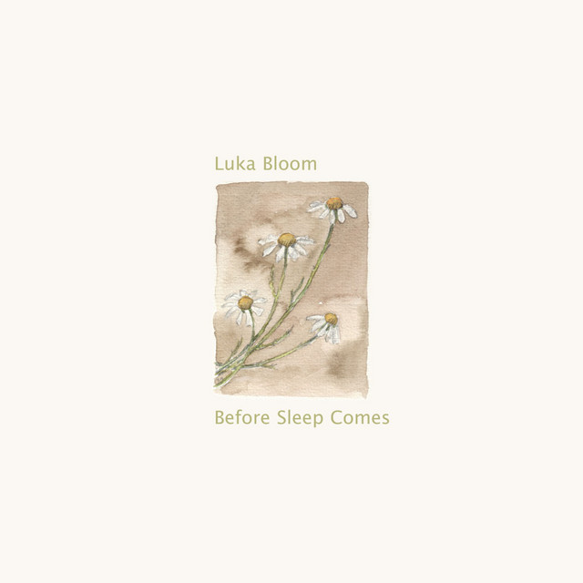 Before Sleep Comes album cover