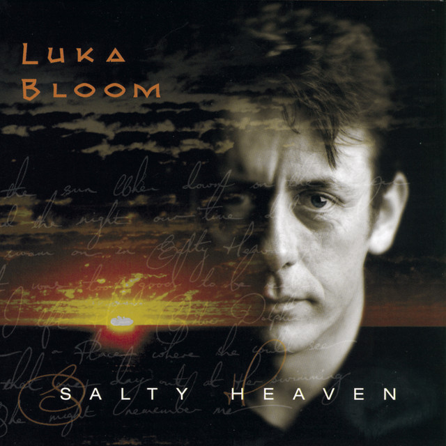 Salty Heaven album cover