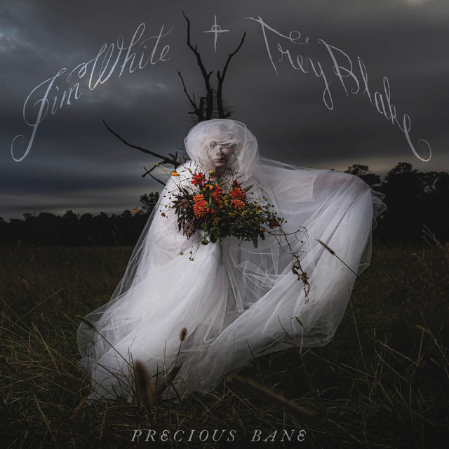 Precious Bane album cover