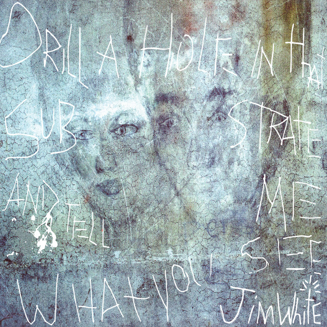 Drill a Hole In That Substrate and Tell Me What You See (Deluxe Version) album cover