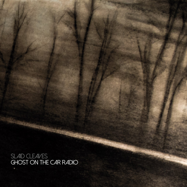 Ghost on the Car Radio album cover