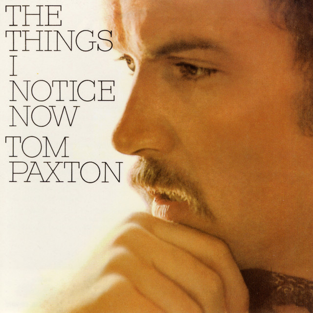 The Things I Notice Now album cover