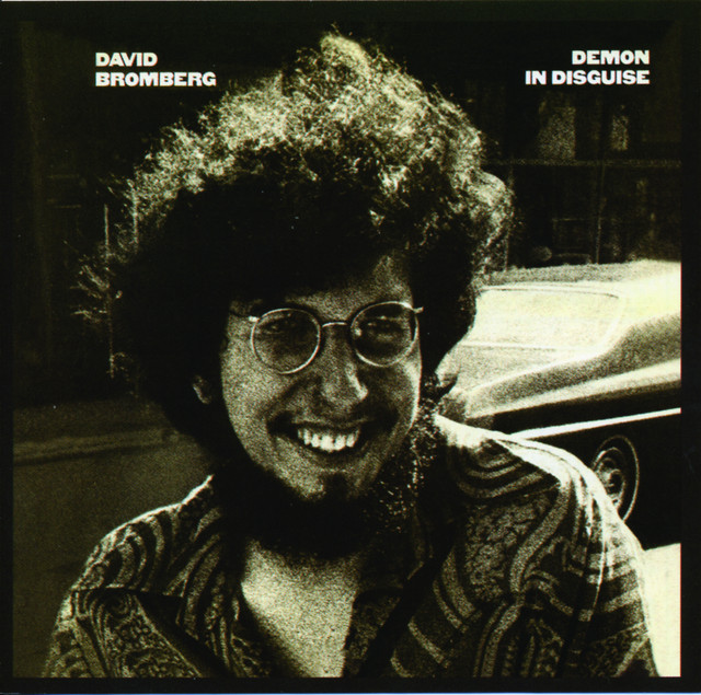 Demon In Disguise album cover