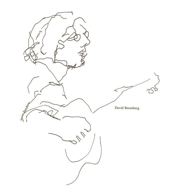 David Bromberg album cover