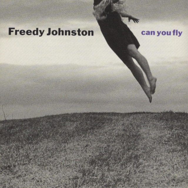 Can You Fly album cover