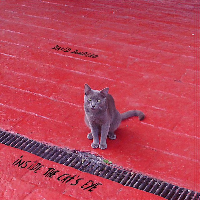 Inside the Cat's Eye album cover