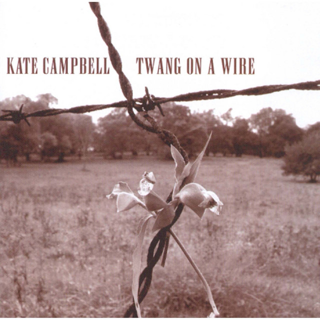 Twang On A Wire album cover