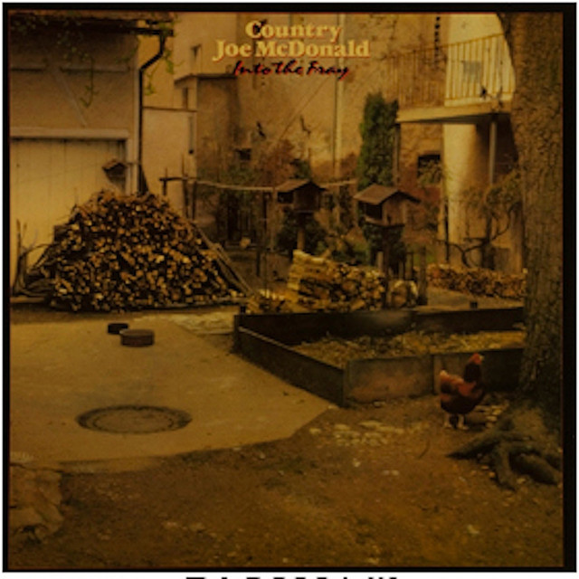 Into The Fray album cover