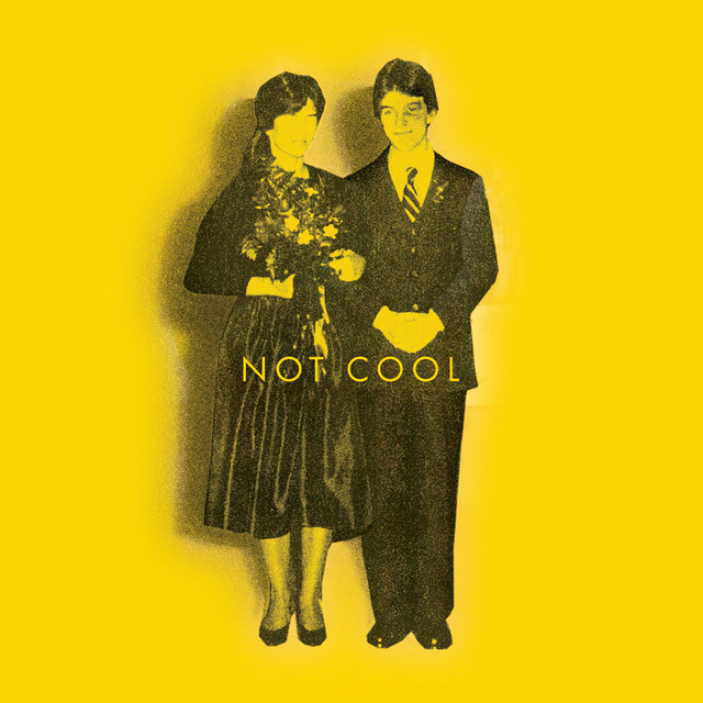 Not Cool album cover