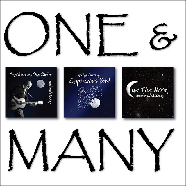 One & Many album cover