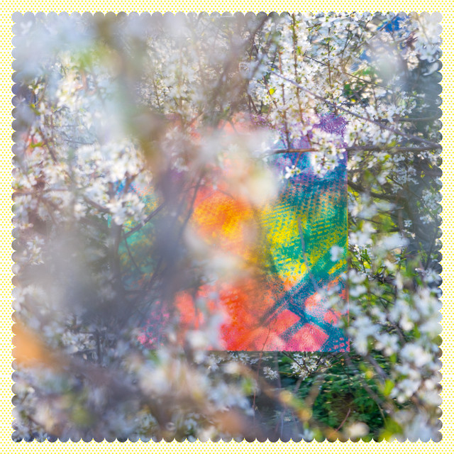 Sixteen Oceans album cover