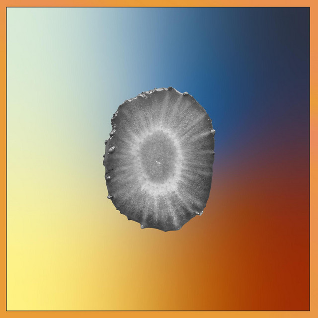 If Bees Are Few album cover
