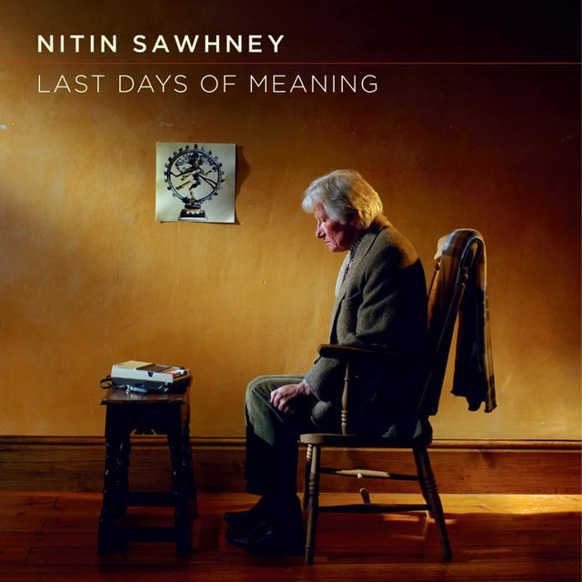 Last Days of Meaning album cover