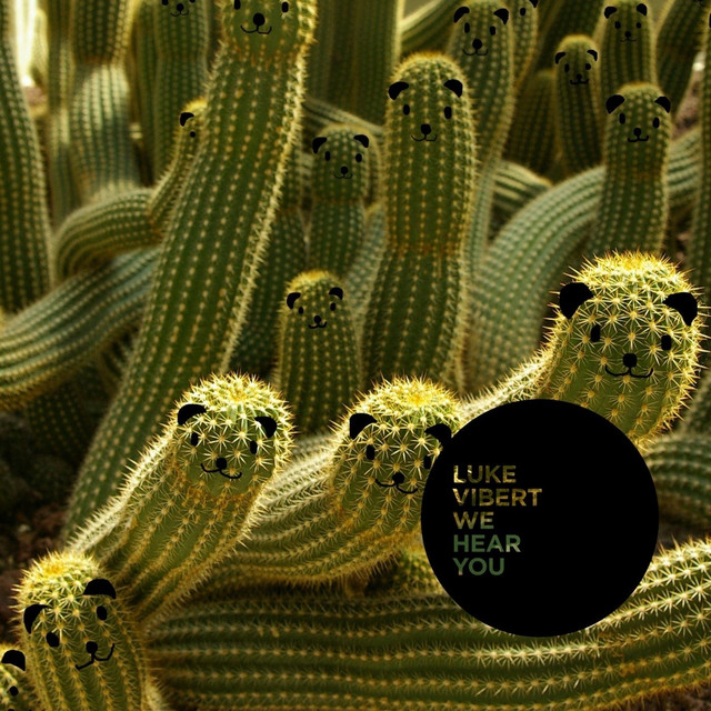 We Hear You album cover