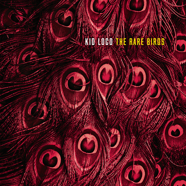 The Rare Birds album cover