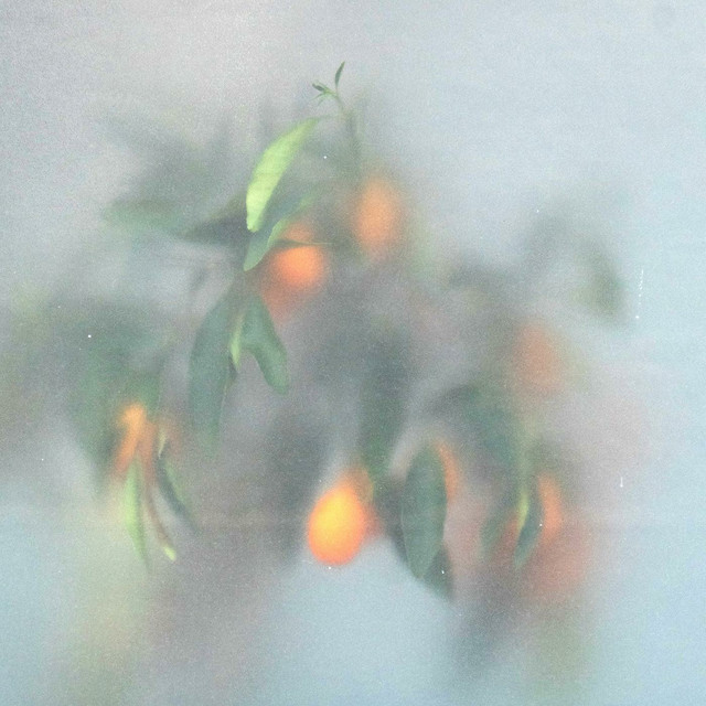 Secret Garden album cover