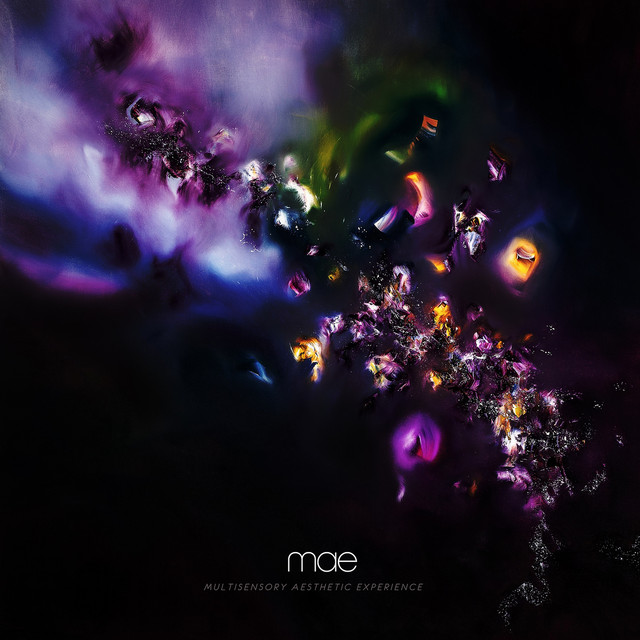 Multisensory Aesthetic Experience album cover