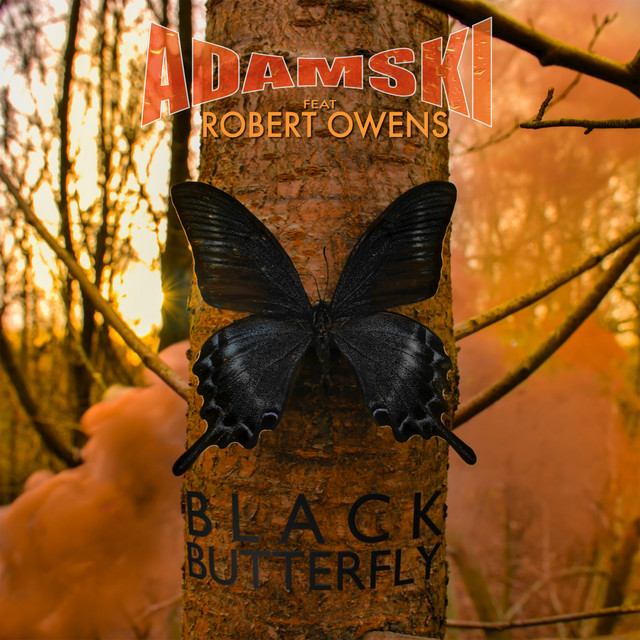 Black Butterfly album cover