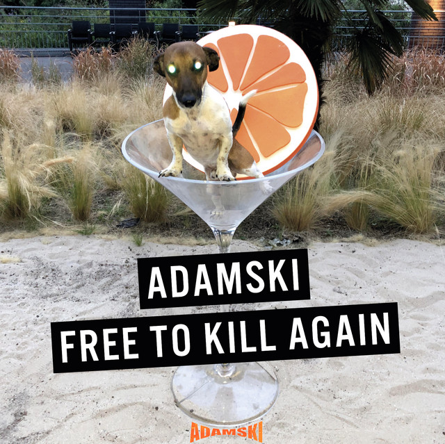 Free to Kill Again album cover