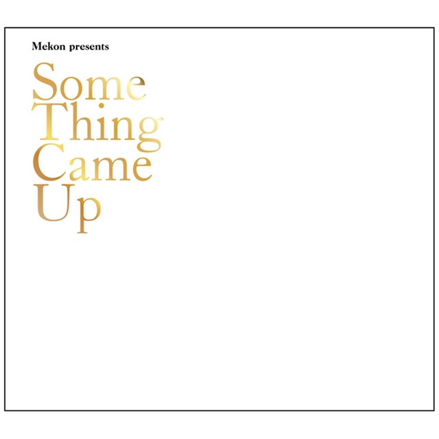 Something Came Up album cover