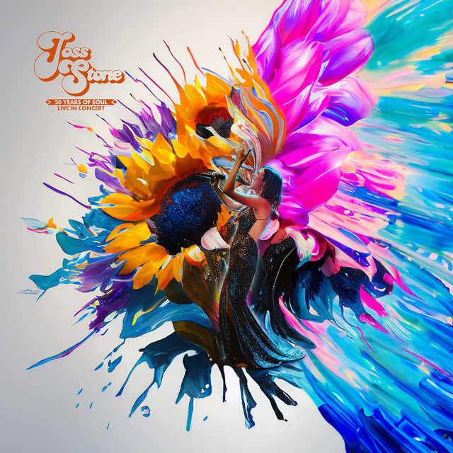 20 Years of Soul Live in Concert album cover